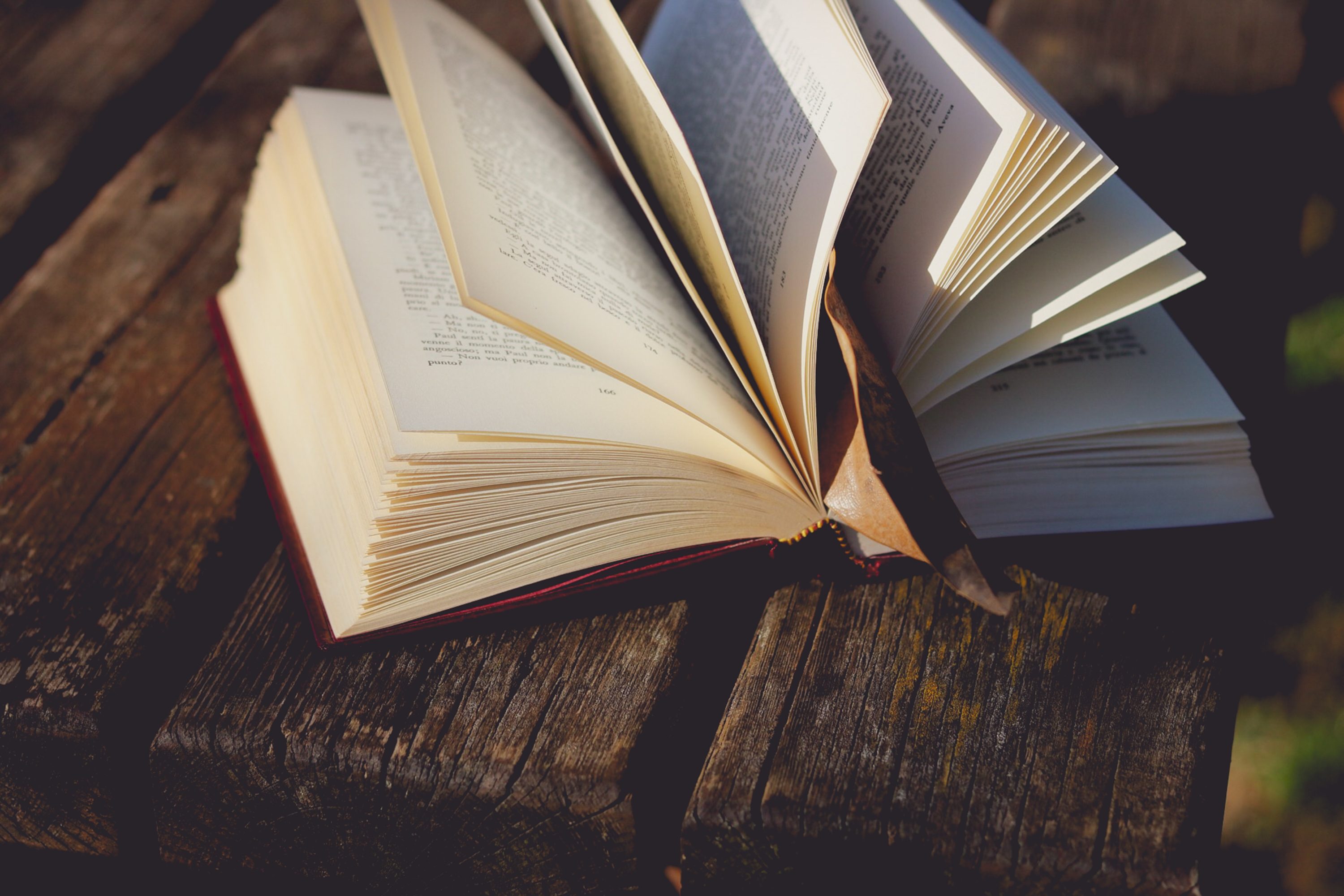 Madison Authors