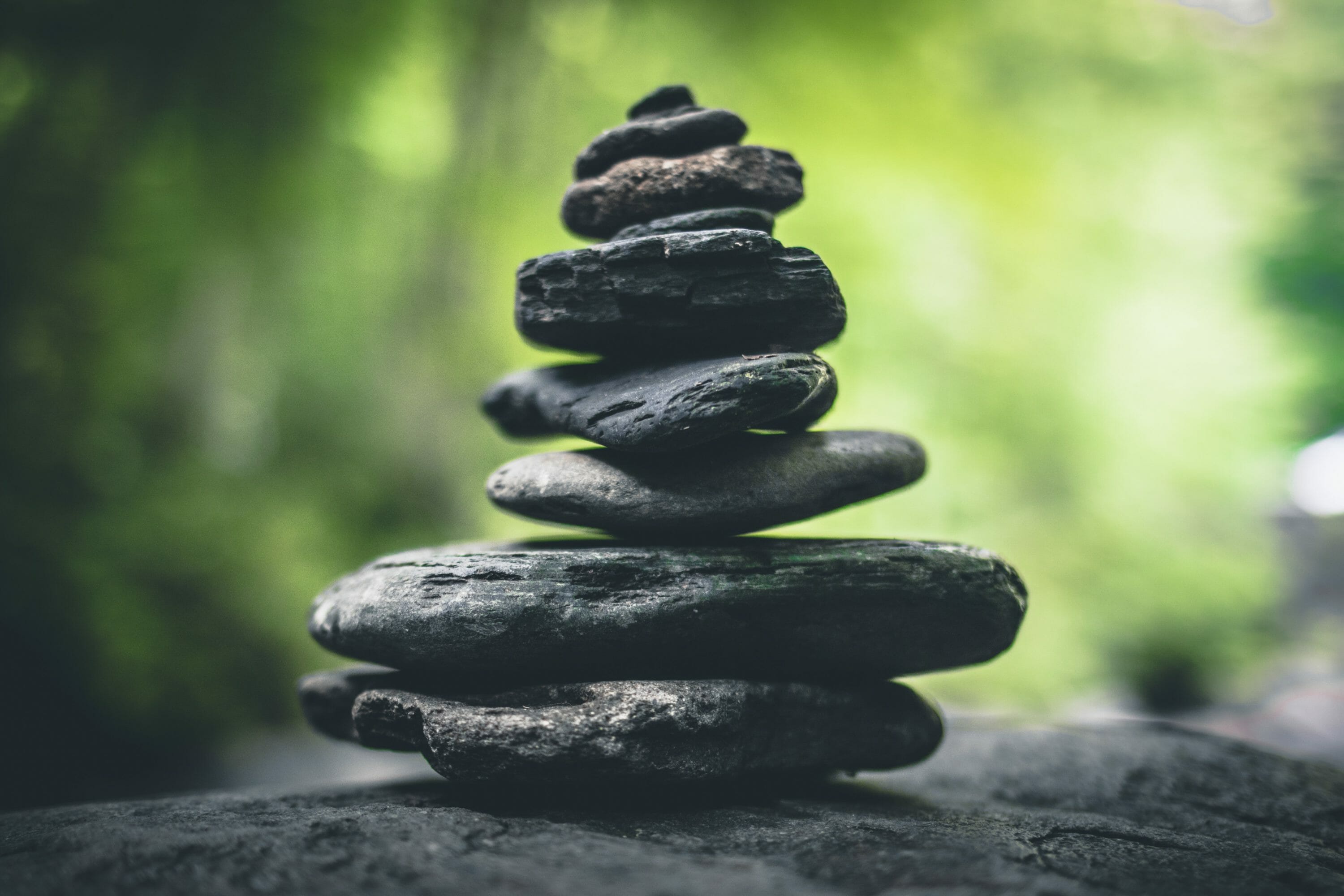 Zen Leader